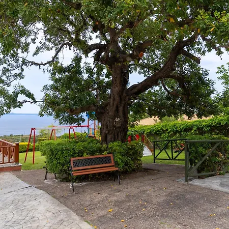 Sea View Village アパートホテル Vasilikí